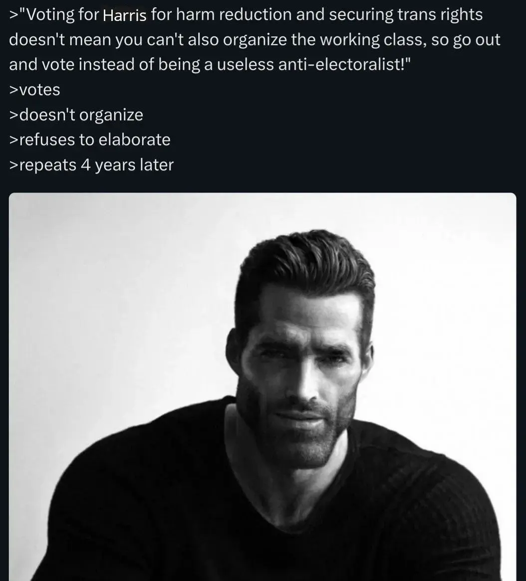 A black and white picture of a masculine presenting person photoshopped to make them look artificially hyper-handsome (also known as chad) with the heading: 
'>"Voting for Harris for harm reduction and securing trans rights doesn't mean you can't also organise the working class, so go out and vote instead of being a useless an time lectors list!" 
>votes 
>doesn't organise 
>refuses to elaborate 
>repeats 4 years later'