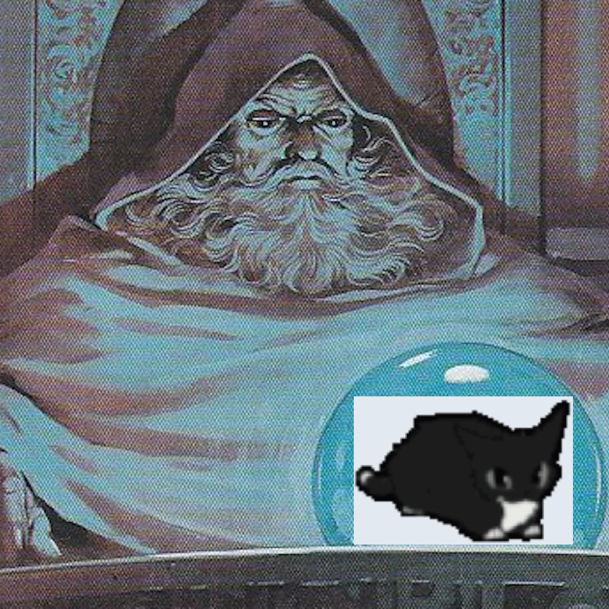 a wizard pondering an orb but instead its a goofy cat