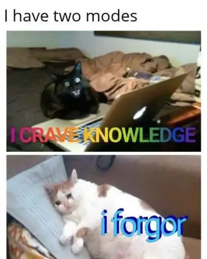 A meme in two steps. Title says "I have two modes". First picture portraits a black cat with strange expression, as if it was browsing a MacBook. There is a rainbow wordart in upper case "I crave knowledge". Under the picture, there is a second picture also portraiting a cat, this time a fat, white, sad and crying cat, laying in a pillow. There is a blue and curvy wordart saying "i forgor".